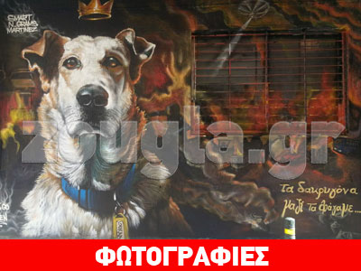 Ο σκύλος-σύμβολο που έγινε γκράφιτι!