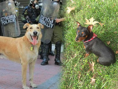 Η… μετενσάρκωση του Λουκάνικου