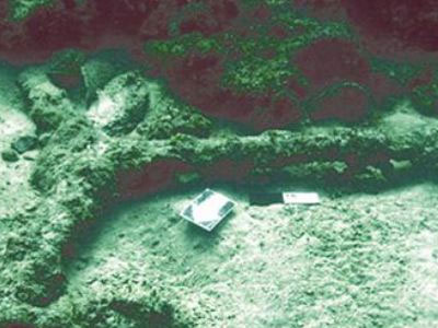 Ένα αρχαίο ναυάγιο ανακαλύφθηκε στον Παγασητικό!