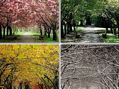 Πώς συνδέεται η ψυχική μας διάθεση με την ημερομηνία γέννησής μας;