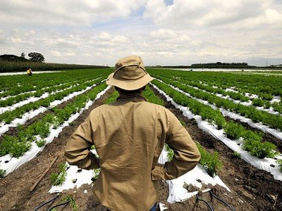 Πληρωμές ύψους 9,4 εκατ. ευρώ για νέους αγρότες της Θεσσαλίας