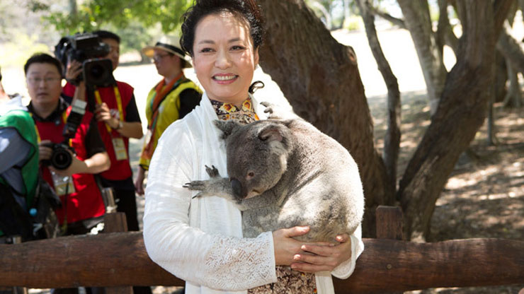 Στο περιθώριο της G-20: Η Peng Liyuan, σύζυγος του προέδρου της Κίνας Χσι Τζιπένγκ, αγκαλιά με ένα κοάλα