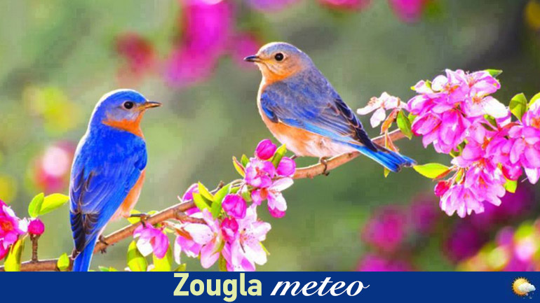 Δείτε τι καιρό θα κάνει μέχρι τη Δευτέρα 20 Απριλίου