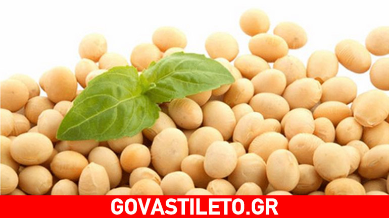 Τα 5 superfood της νηστείας