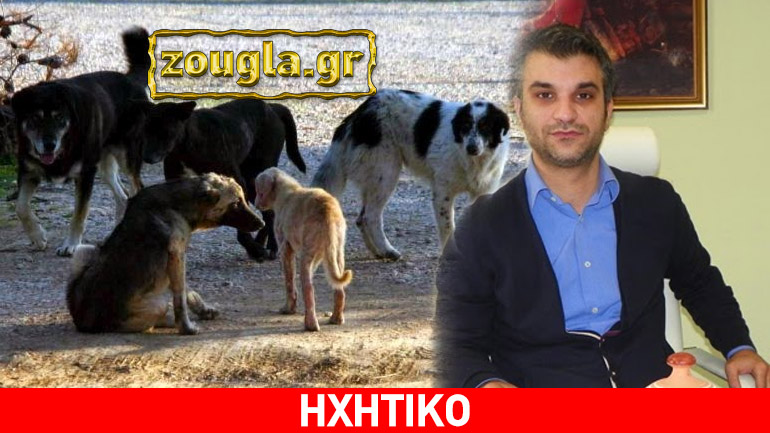 Ο δήμαρχος Δοξάτου που επικήρυξε τους δολοφόνους αδέσποτων μιλά στο zougla.gr