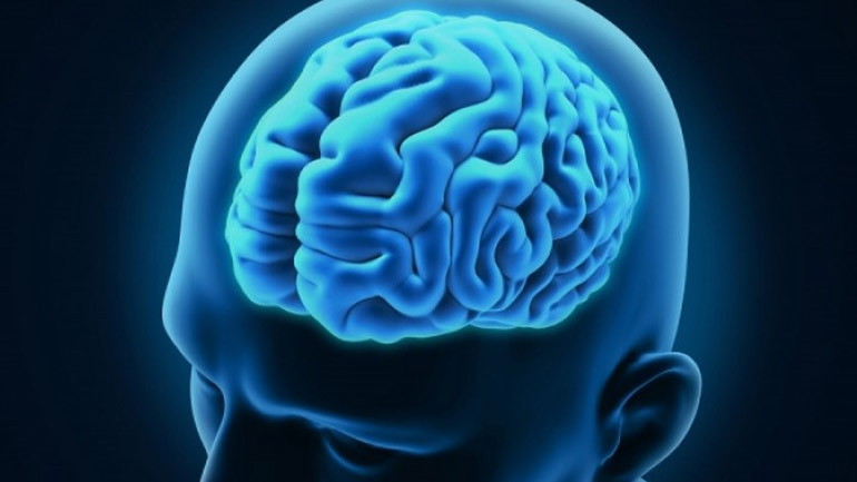 Ποια είναι η επίδραση της σεξουαλικής δραστηριότητας στην εγκεφαλική λειτουργία