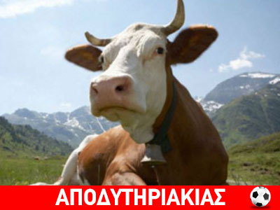 Δουλειά σε γουρουνοτροφεία