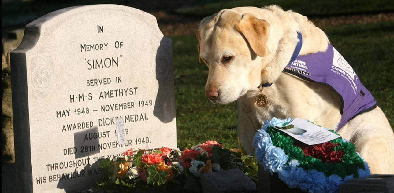 Τετράποδοι ήρωες