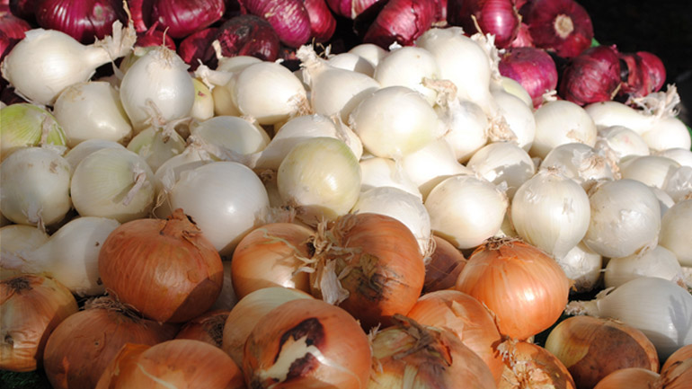 Δέσμευση 15 τόνων κρεμμυδιών Ινδίας