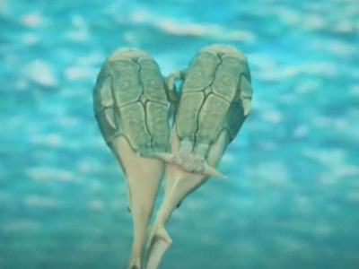 Οι… πρωτοπόροι του σεξ!