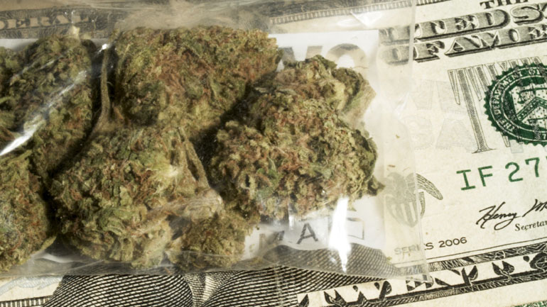 Ποσότητα ρεκόρ 42 τόνων μαριχουάνας κατασχέθηκε στο Μεξικό