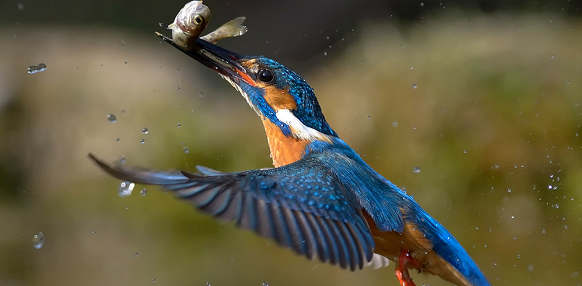 «Κλικ» την κατάλληλη στιγμή