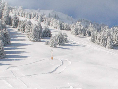 Πότε θα ανοίξει το Χιονοδρομικό Κέντρο του Μαίναλου