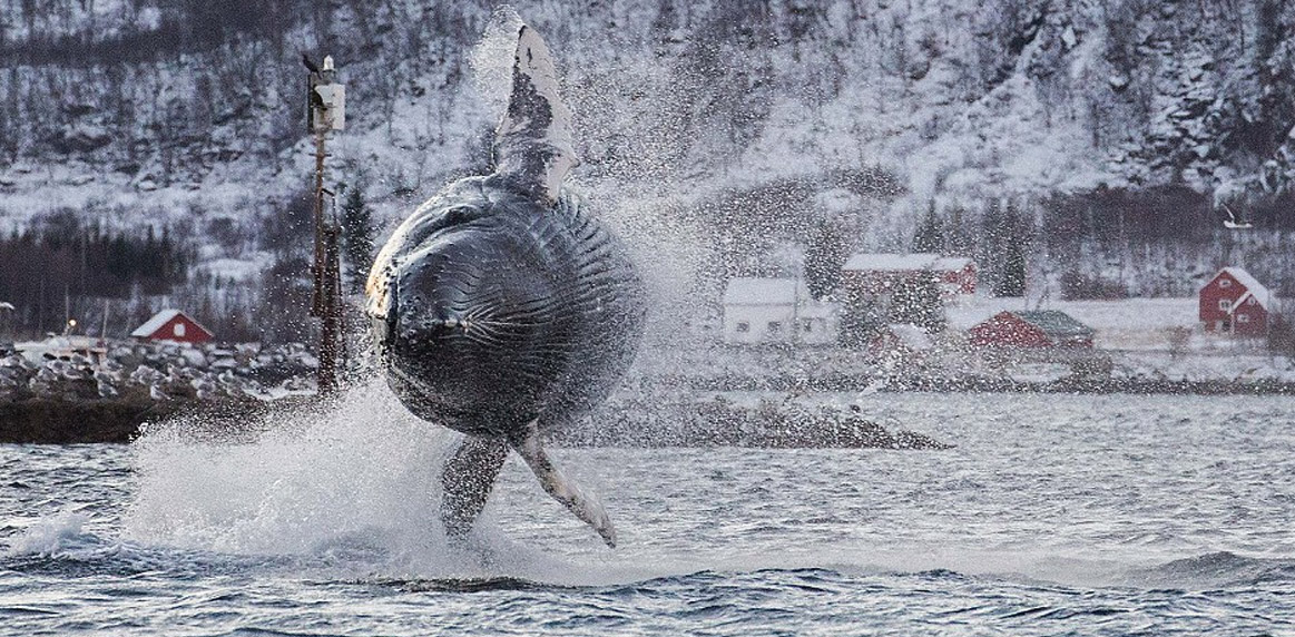 Παιχνίδι στο νερό
