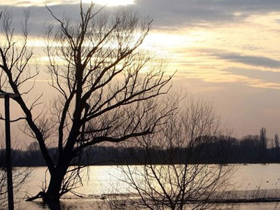 Υποχωρεί η στάθμη του νερού στον Έβρο