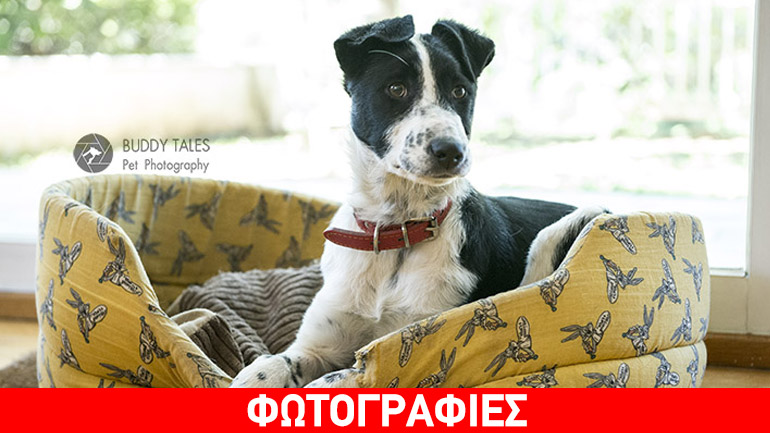 Χαρίζεται η Ντάνι