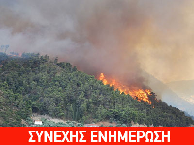 Φωτιά σε δάσος στο Ξένο Σαλαμίνας