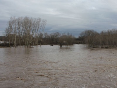 Στον νότιο Έβρο μετατοπίζεται το πλημμυρικό φαινόμενο Στον νότιο Έβρο μετατοπίζεται το πλημμυρικό φαινόμενο