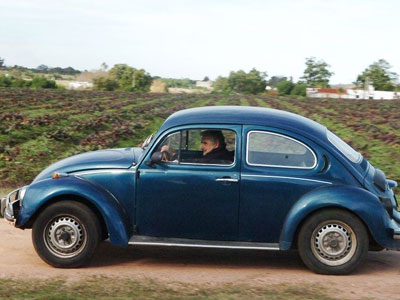 Σεΐχης προσφέρει 1 εκατ. δολάρια για τον σκαραβαίο του φτωχότερου ηγέτη στον κόσμο!