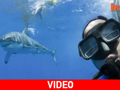 «Έτσι έβγαλα selfie με τον λευκό καρχαρία»