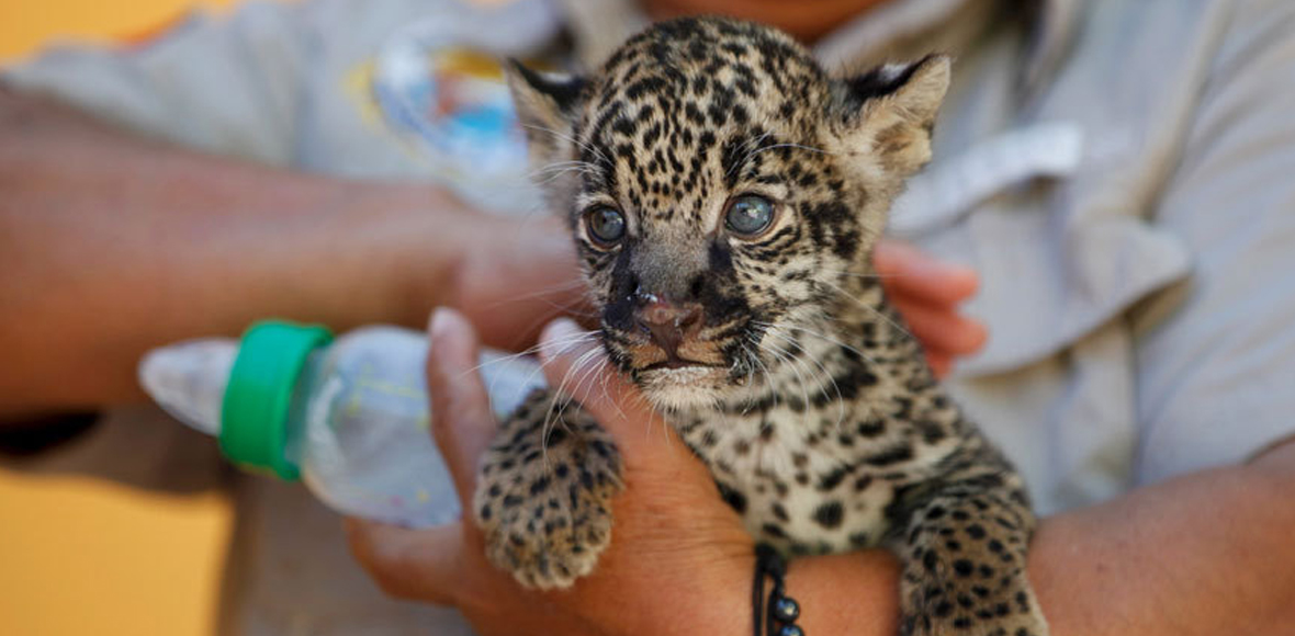 Πρώτη επαφή με τον φακό