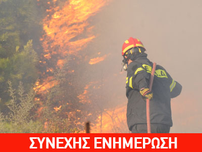 Σε εξέλιξη πυρκαγιά στον Μαραθώνα