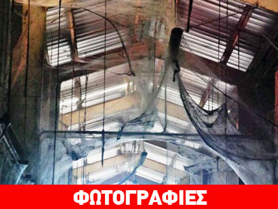 Ένα εργοστάσιο με 107 εκατ. αράχνες!