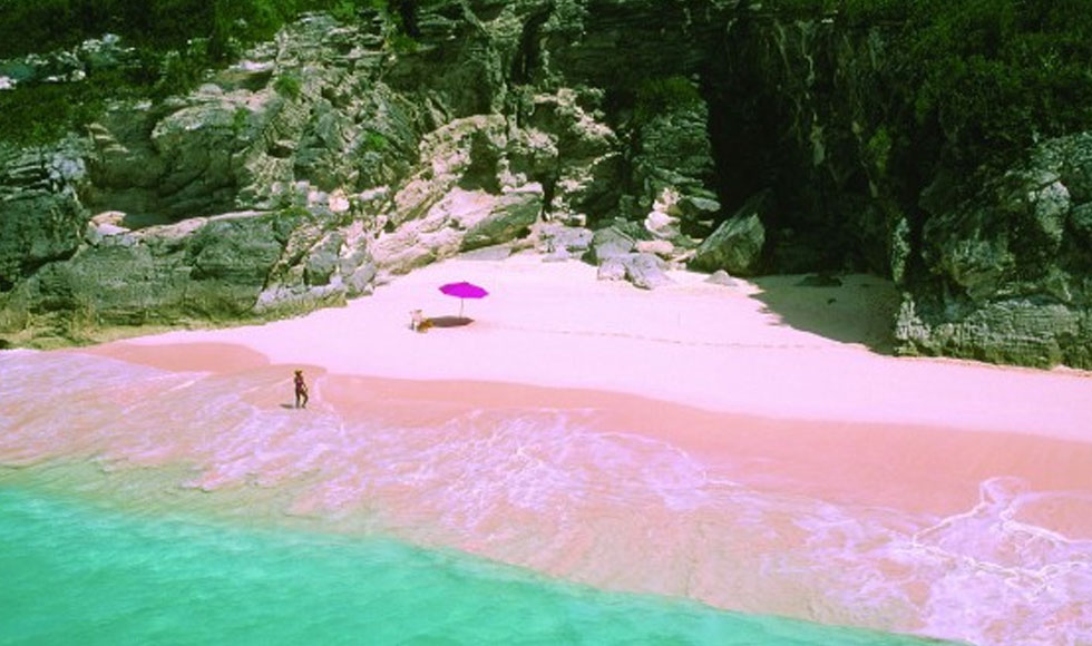 Ροζ παραλίες