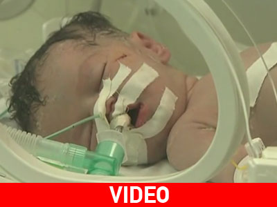 Γεννήθηκε από τα σπλάχνα της νεκρής μητέρας του Γεννήθηκε από τα σπλάχνα της νεκρής μητέρας του