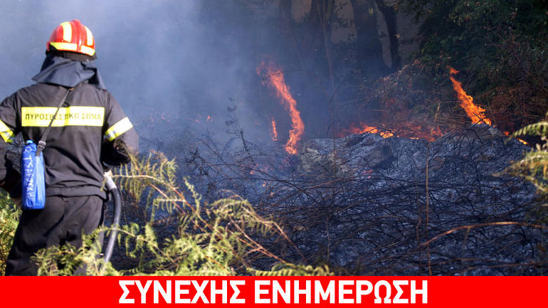 Μεγάλη φωτιά σε εξέλιξη στους Γαργαλιάνους Μεσσηνίας