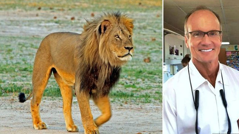 Έκδοση του οδοντιάτρου που σκότωσε το Σέσιλ ζητούν οι αρχές της Ζιμπάμπουε Έκδοση του οδοντιάτρου που σκότωσε το Σέσιλ ζητούν οι αρχές της Ζιμπάμπουε