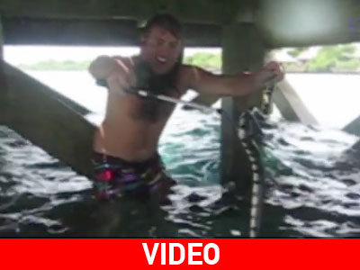 Έπιασε με γυμνά χέρια ένα από τα πιο επικίνδυνα φίδια στον κόσμο!