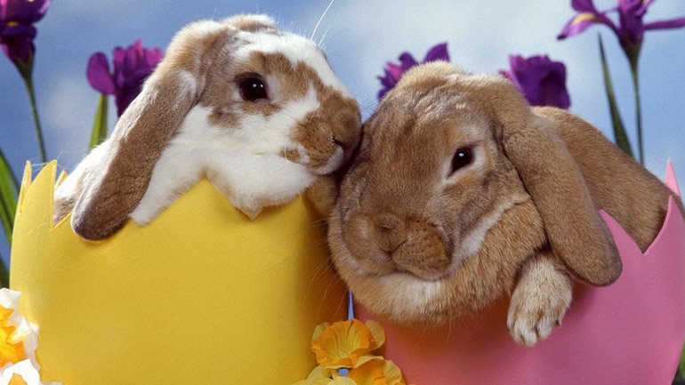 Αθήνα: To προτεινόμενο ωράριο λειτουργίας καταστημάτων για το Πάσχα