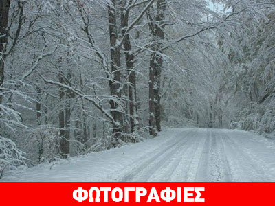 Ντύθηκαν στα λευκά