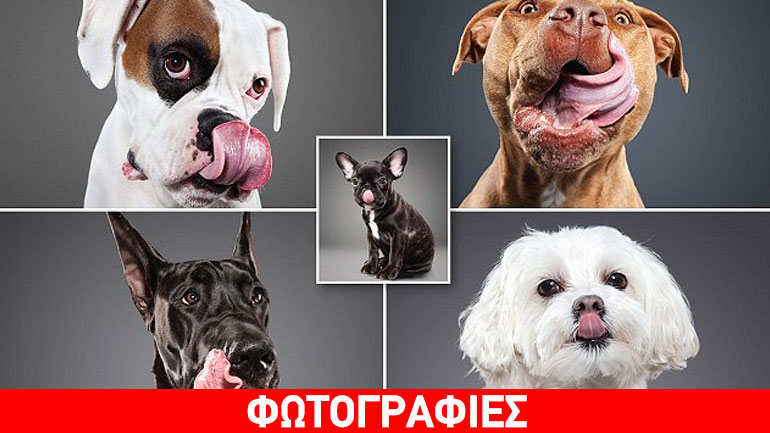 Υπέροχες φωτογραφίες από τους αγαπημένους μας φίλους