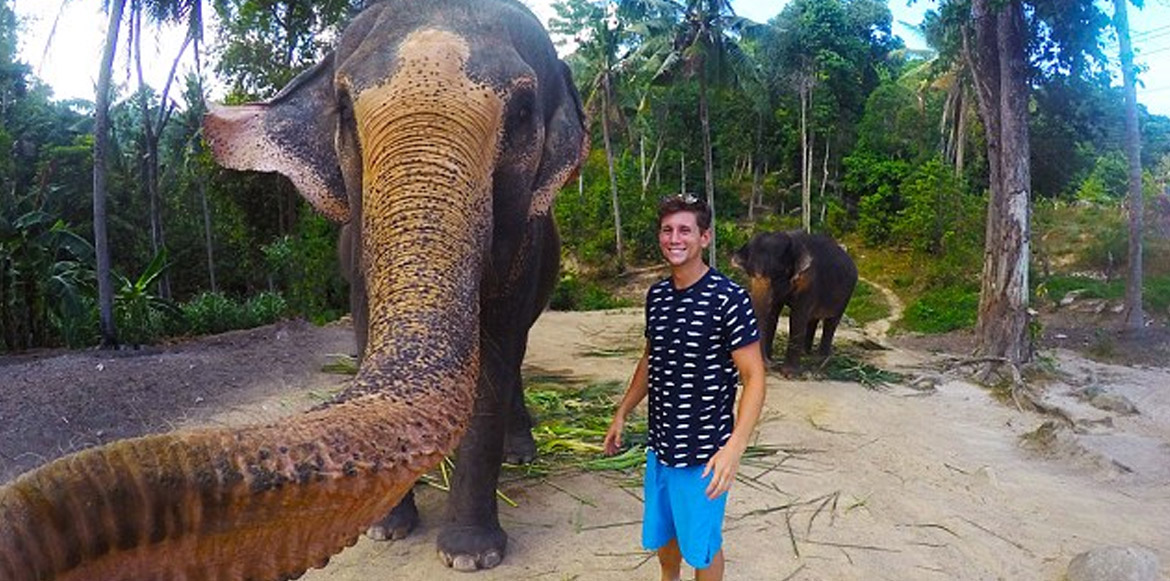 H πρώτη «Elphie» παγκοσμίως!