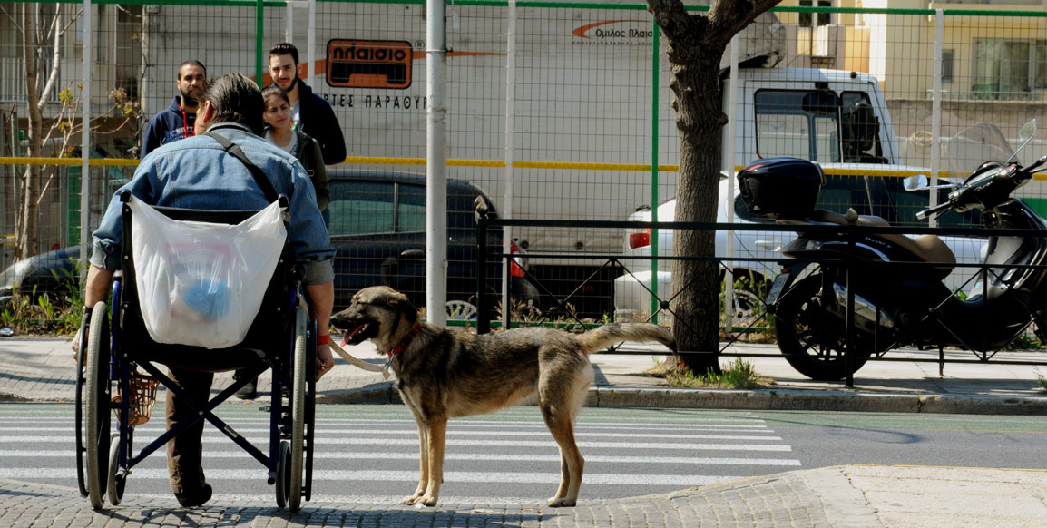 Συντροφικότητα