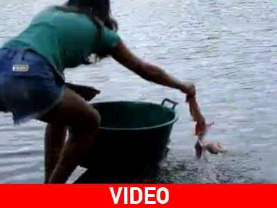 Έτσι ψαρεύουν πιράνχας στη Βραζιλία