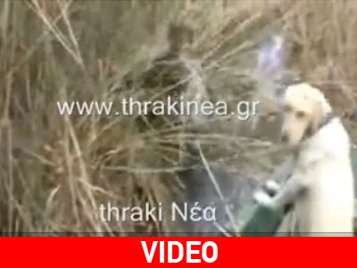 Μοναδικά πλάνα από το Δέλτα του Έβρου