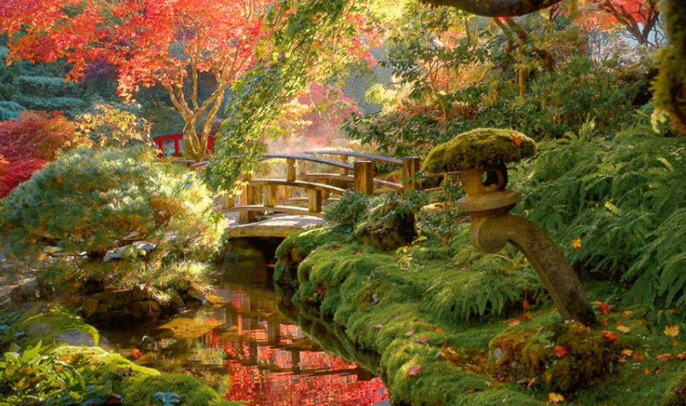 Σαν πίνακες ζωγραφικής