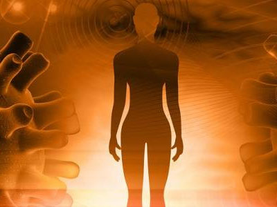 Οι επιστήμονες διαλευκάνουν την εξέλιξη των γεννητικών οργάνων