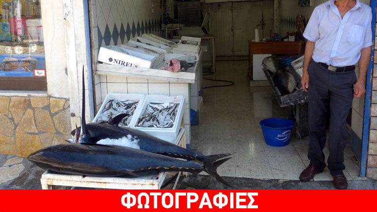 Μια διαφορετική… ατραξιόν στον Αστακό!