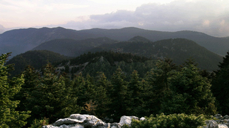 Μέτρα πρόληψης κατά των πυρκαγιών στην Λακωνία