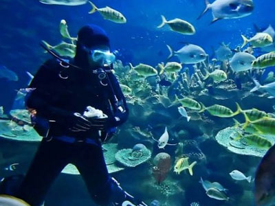 Πού θα λειτουργήσει το πρώτο υποβρύχιο μουσείο της Ελλάδος;