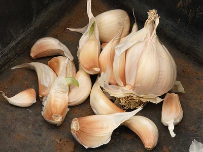 Σκόρδο: Ενισχύει τον οργανισμό σας! Σκόρδο: Ενισχύει τον οργανισμό σας!