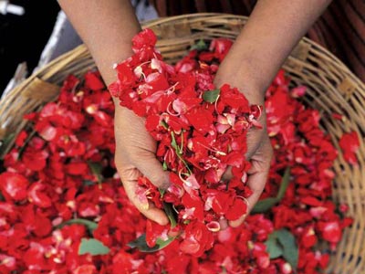 Ροδόνερο: Τονώνει και ενυδατώνει