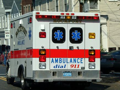 Η.Π.Α.: Σκύλος δάγκωσε μέχρι θανάτου δίχρονο αγοράκι