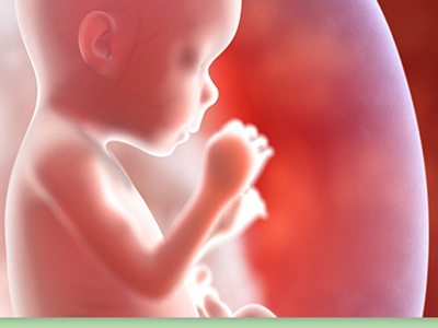 Μάθετε το φύλο του παιδιού σας σε επτά μόλις εβδομάδες