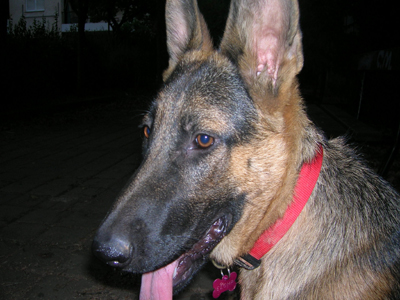 Η Εσθήρ χρειάζεται επειγόντως υιοθεσία