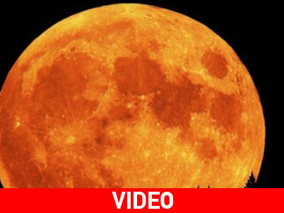 Τους στέρησαν μια μαγευτική βραδιά